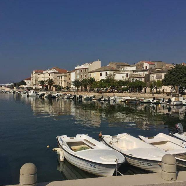 Sunny Bi-Pi Apartment Pag Town Dış mekan fotoğraf